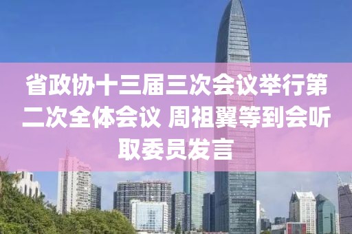 省政協(xié)十三屆三次會議舉行第二次全體會議 周祖翼等到會聽取委員發(fā)言