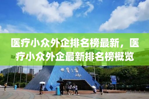 醫(yī)療小眾外企排名榜最新，醫(yī)療小眾外企最新排名榜概覽