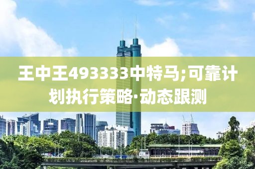 王中王493333中特馬;可靠計劃執(zhí)行策略·動態(tài)跟測