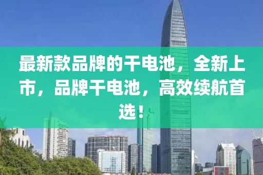 最新款品牌的干電池，全新上市，品牌干電池，高效續(xù)航首選！