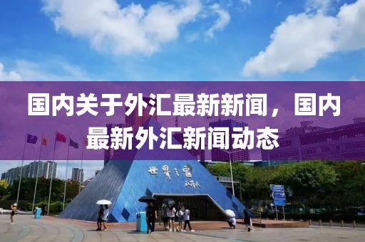 國內(nèi)關(guān)于外匯最新新聞，國內(nèi)最新外匯新聞動態(tài)