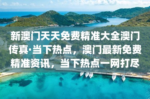 新澳門天天免費精準大全澳門傳真·當下熱點，澳門最新免費精準資訊，當下熱點一網打盡