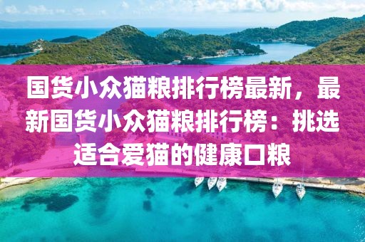 xinyu 第13頁