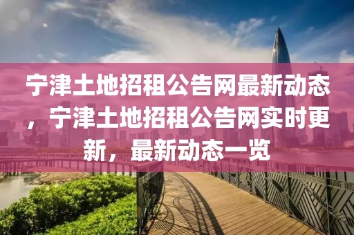 寧津土地招租公告網(wǎng)最新動態(tài)，寧津土地招租公告網(wǎng)實時更新，最新動態(tài)一覽