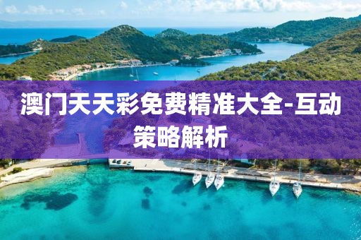 澳門天天彩免費(fèi)精準(zhǔn)大全-互動(dòng)策略解析
