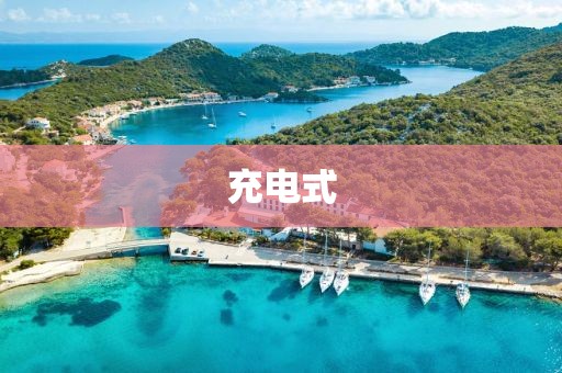 充電式
