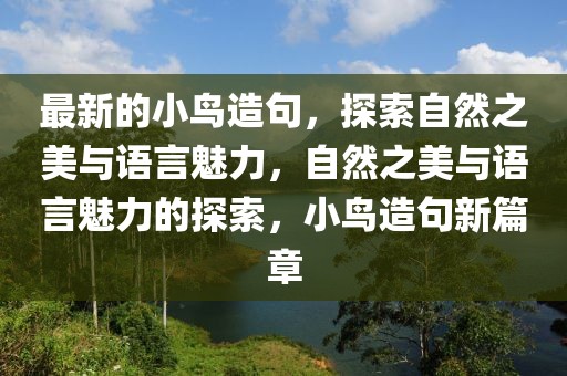 最新的小鳥(niǎo)造句，探索自然之美與語(yǔ)言魅力，自然之美與語(yǔ)言魅力的探索，小鳥(niǎo)造句新篇章