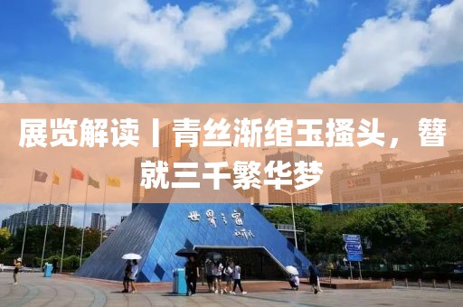 展覽解讀丨青絲漸綰玉搔頭，簪就三千繁華夢