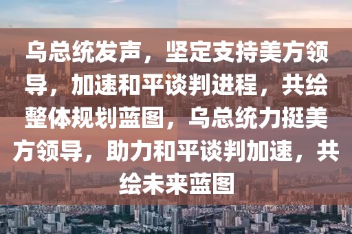烏總統(tǒng)發(fā)聲，堅(jiān)定支持美方領(lǐng)導(dǎo)，加速和平談判進(jìn)程，共繪整體規(guī)劃藍(lán)圖，烏總統(tǒng)力挺美方領(lǐng)導(dǎo)，助力和平談判加速，共繪未來藍(lán)圖