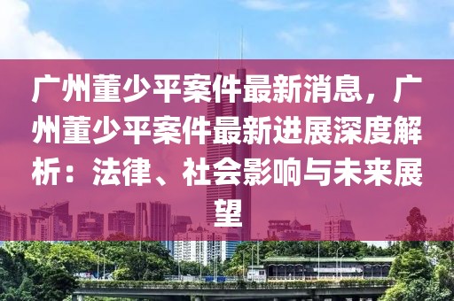 廣州董少平案件最新消息，廣州董少平案件最新進展深度解析：法律、社會影響與未來展望