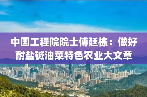 中國(guó)工程院院士傅廷棟：做好耐鹽堿油菜特色農(nóng)業(yè)大文章