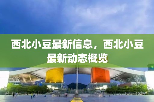 西北小豆最新信息，西北小豆最新動態(tài)概覽