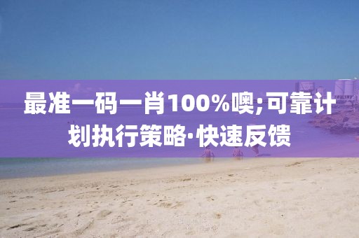 最準(zhǔn)一碼一肖100%噢;可靠計(jì)劃執(zhí)行策略·快速反饋