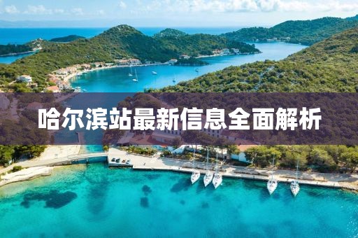 哈爾濱站最新信息全面解析