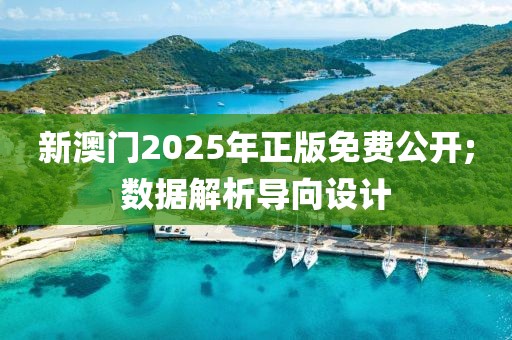 新澳門2025年正版免費公開;數(shù)據(jù)解析導(dǎo)向設(shè)計