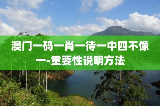 澳門一碼一肖一待一中四不像一-重要性說明方法