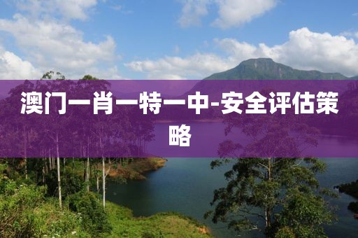 澳門一肖一特一中-安全評估策略