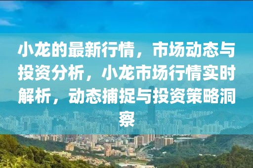 小龍的最新行情，市場動態(tài)與投資分析，小龍市場行情實時解析，動態(tài)捕捉與投資策略洞察
