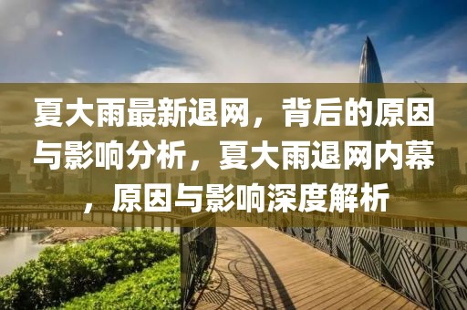 夏大雨最新退網(wǎng)，背后的原因與影響分析，夏大雨退網(wǎng)內(nèi)幕，原因與影響深度解析