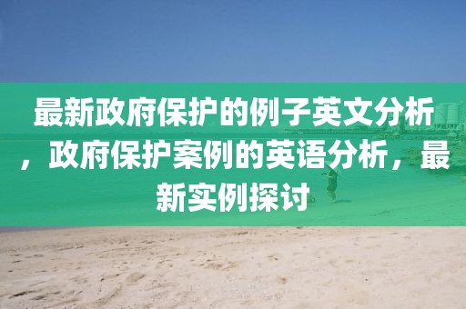 最新政府保護(hù)的例子英文分析，政府保護(hù)案例的英語分析，最新實例探討