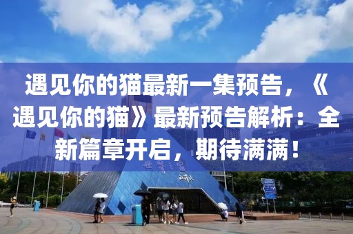 遇見你的貓最新一集預(yù)告，《遇見你的貓》最新預(yù)告解析：全新篇章開啟，期待滿滿！