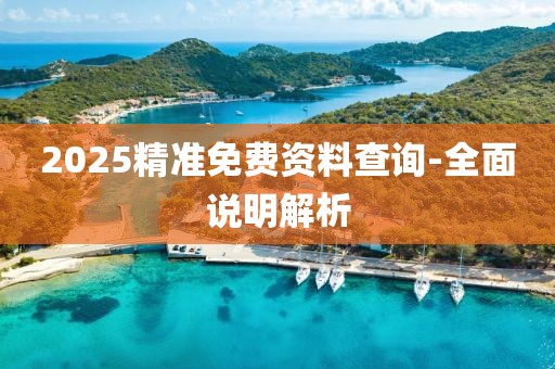 2025精準(zhǔn)免費(fèi)資料查詢-全面說(shuō)明解析