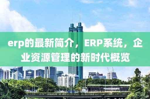 erp的最新簡介，ERP系統(tǒng)，企業(yè)資源管理的新時(shí)代概覽