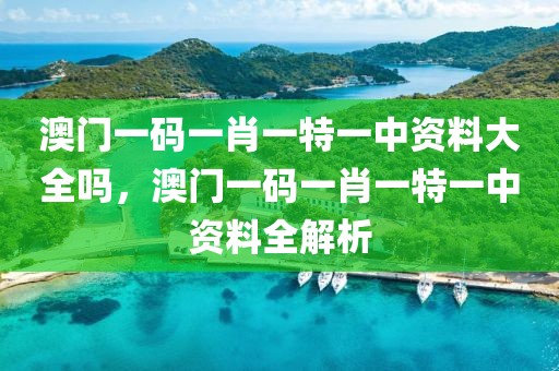 澳門一碼一肖一特一中資料大全嗎，澳門一碼一肖一特一中資料全解析