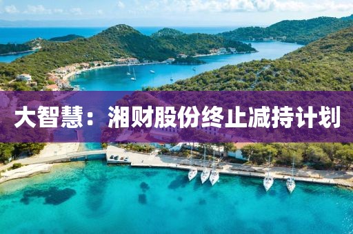 大智慧：湘財(cái)股份終止減持計(jì)劃