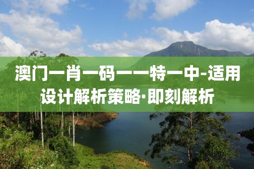 澳門一肖一碼一一特一中-適用設(shè)計(jì)解析策略·即刻解析