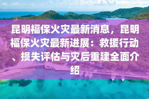 2025年3月11日 第17頁