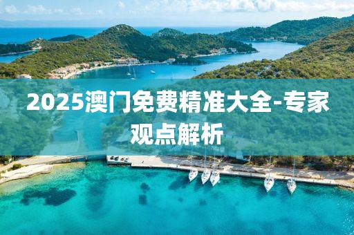 2025澳門免費精準大全-專家觀點解析