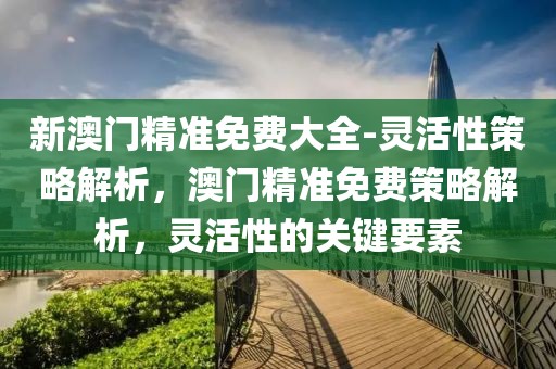 新澳門精準免費大全-靈活性策略解析，澳門精準免費策略解析，靈活性的關鍵要素