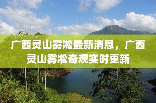 廣西靈山霧凇最新消息，廣西靈山霧凇奇觀實時更新