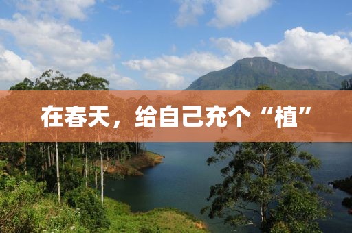2025年4月14日 第17頁