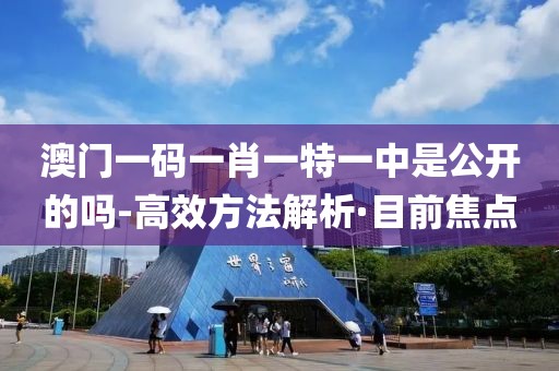 澳門一碼一肖一特一中是公開的嗎-高效方法解析·目前焦點