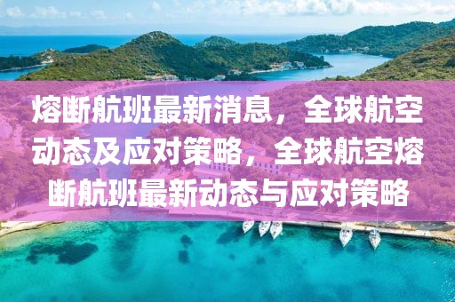 熔斷航班最新消息，全球航空動態(tài)及應對策略，全球航空熔斷航班最新動態(tài)與應對策略