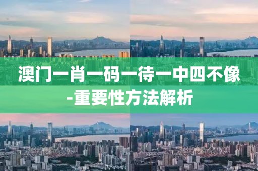 澳門一肖一碼一待一中四不像-重要性方法解析