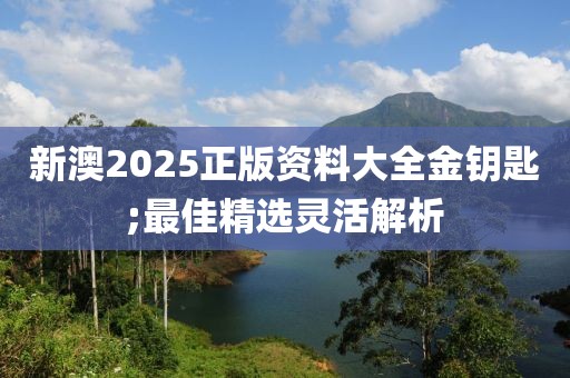 新澳2025正版資料大全金鑰匙;最佳精選靈活解析