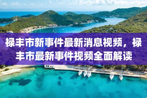 祿豐市新事件最新消息視頻，祿豐市最新事件視頻全面解讀