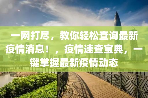 一網(wǎng)打盡，教你輕松查詢最新疫情消息！，疫情速查寶典，一鍵掌握最新疫情動(dòng)態(tài)