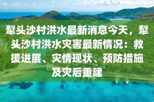 犁頭沙村洪水最新消息今天，犁頭沙村洪水災(zāi)害最新情況：救援進(jìn)展、災(zāi)情現(xiàn)狀、預(yù)防措施及災(zāi)后重建