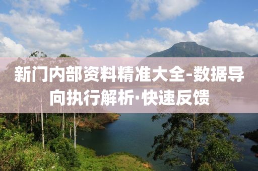 新門內(nèi)部資料精準(zhǔn)大全-數(shù)據(jù)導(dǎo)向執(zhí)行解析·快速反饋