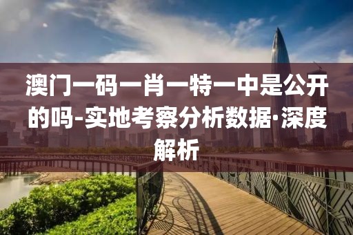 澳門一碼一肖一特一中是公開的嗎-實(shí)地考察分析數(shù)據(jù)·深度解析