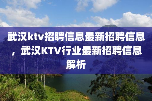 武漢ktv招聘信息最新招聘信息，武漢KTV行業(yè)最新招聘信息解析