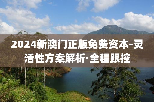 2024新澳門正版免費(fèi)資本-靈活性方案解析·全程跟控