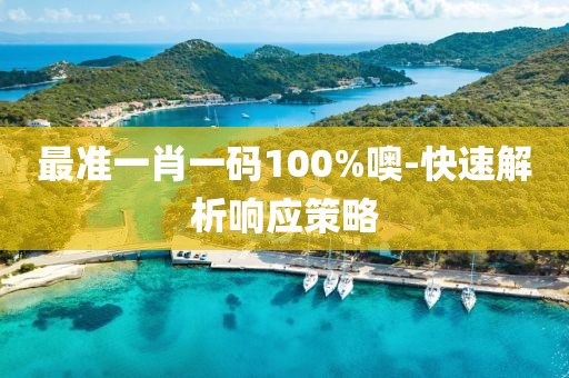 最準(zhǔn)一肖一碼100%噢-快速解析響應(yīng)策略