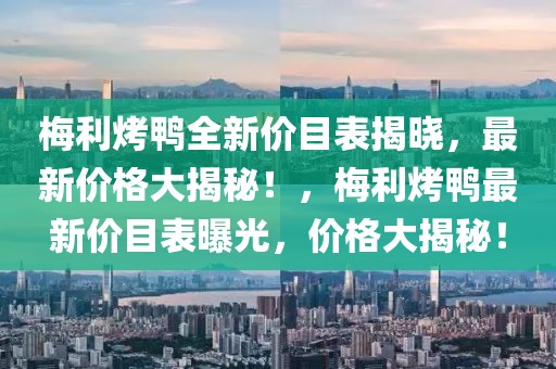 梅利烤鴨全新價(jià)目表揭曉，最新價(jià)格大揭秘！，梅利烤鴨最新價(jià)目表曝光，價(jià)格大揭秘！