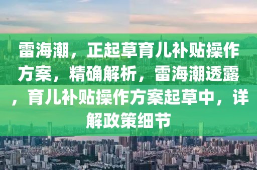 雷海潮，正起草育兒補(bǔ)貼操作方案，精確解析，雷海潮透露，育兒補(bǔ)貼操作方案起草中，詳解政策細(xì)節(jié)