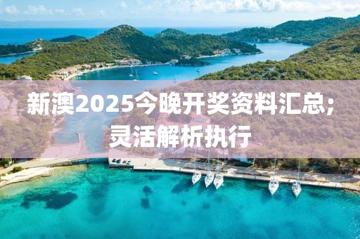 新澳2025今晚開獎(jiǎng)資料匯總;靈活解析執(zhí)行